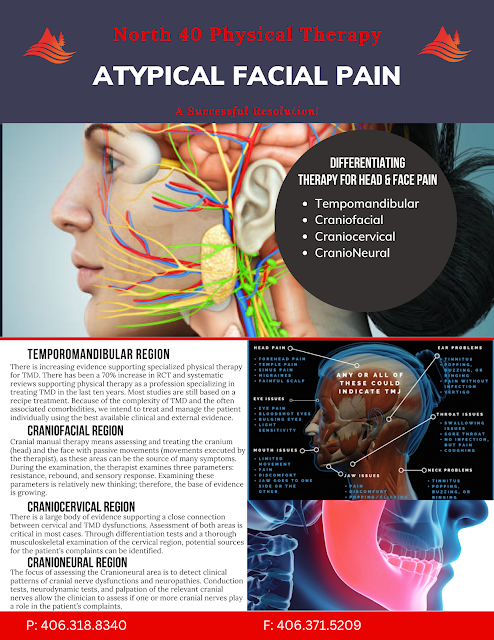 Atypical Facial Pain Graphic